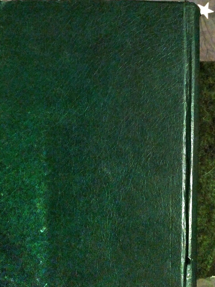حالات عشق مجنون